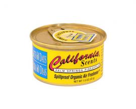 Palm Springs Pineapple 